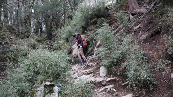 郡大山登山健行趣(百岳54號)2018869