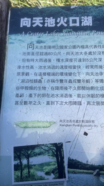 季節限定/尋找向天🦐-鵠沼枝額蟲-上面天山堆雪人2931419