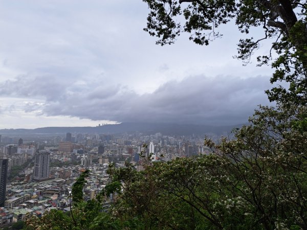 小百岳集起來劍潭親山步道3103139
