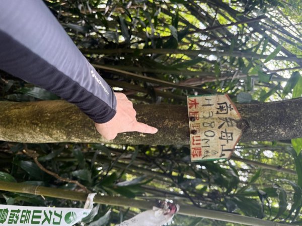 偷吃步之台北天際線第十段2777817