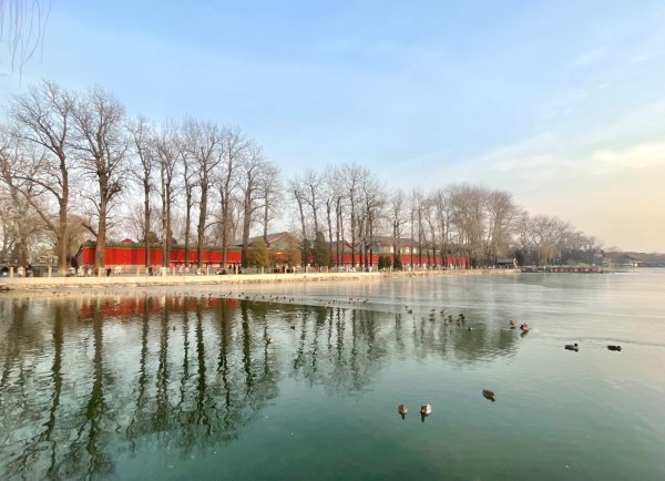 ㄧ路向北尋雪2994227