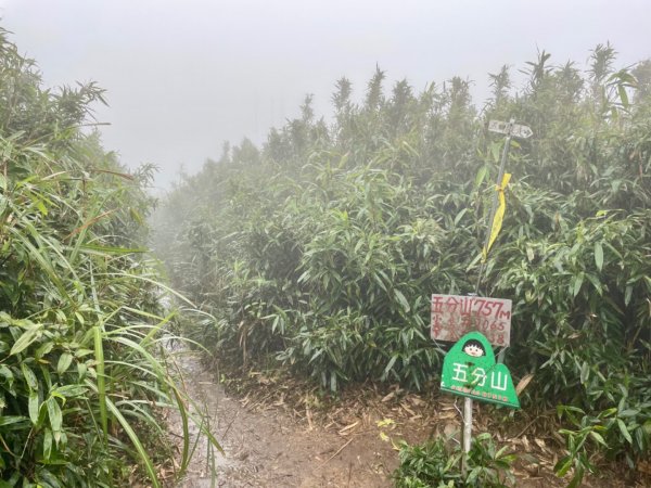 五分山的風雨2017992