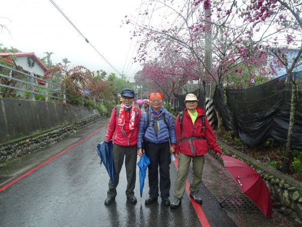 2022年02月20日(鳳凰山協)南投信義-望鄉部落-獵人古道之望美山及瓊山1616640