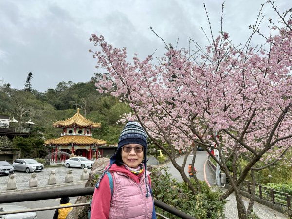 指南宮賞櫻2708117