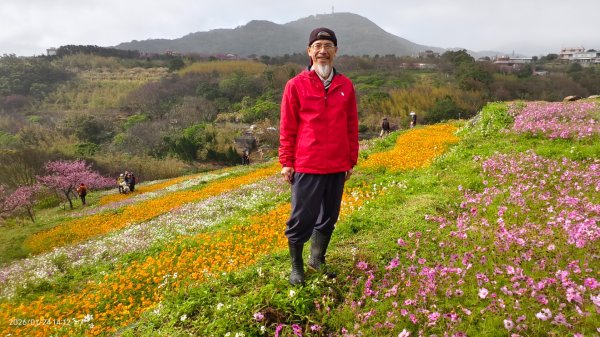 #平菁街 #鵝尾山梯田 #廣佑聖王廟 #寒櫻巷 #夕陽 1/24&252987023