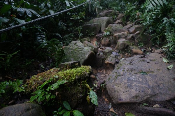 二格山登山步道1911660