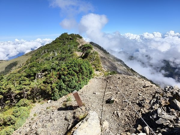 北一段(11/14)南湖北峰 2025_0906~132887326