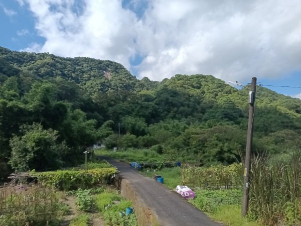 平溪區南山坪蝙蝠洞(濕洞)+平湖山+平湖尖+蝙蝠洞(乾洞)O型2833862