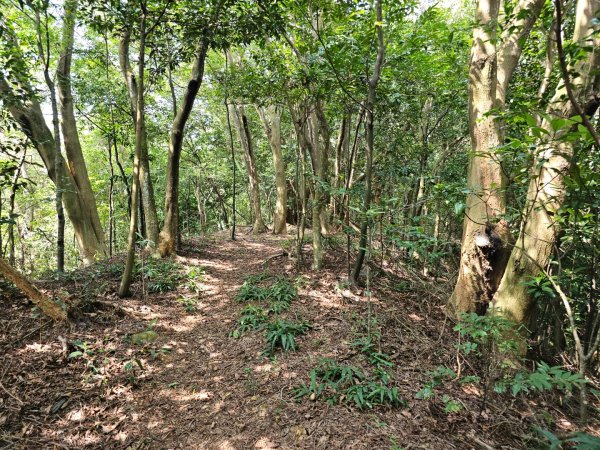 三段崎古道-2025森遊竹縣皮皮獅探險隊2890111