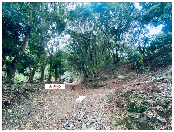 尾寮山、前峰、西峰、西北峰、主峰13基石連走3031950