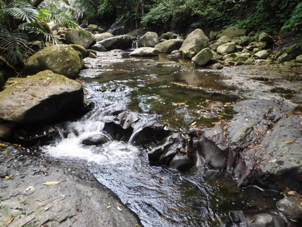 繽紛夏滋味-東北角一日雙棲戲水樂52956