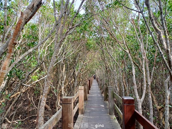 【新竹新豐】台灣唯一建有觀賞步道的生態保護區。 新豐紅樹林生態保護區2381809