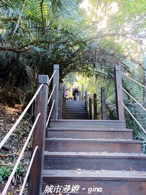 【台中和平】生態廊道。 雪山坑環線步道x巨人之手觀景點2954001