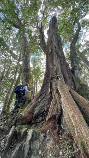 鳶嘴西稜上鳶嘴山-三崠山連走2652157