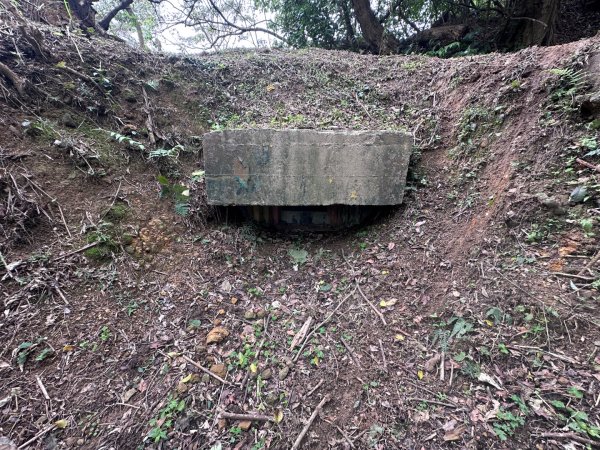 臺北大縱走第五段：捷運劍潭站至碧山巖2751314