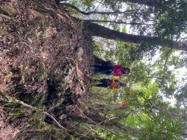 芝生毛台山、虎禮山連走1368981