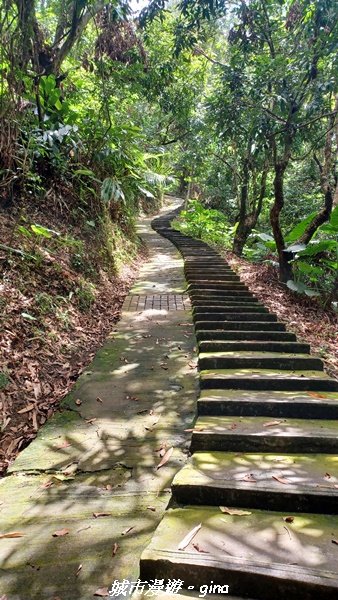 【南投草屯】蝴蝶紛飛可惜抵擋不了低海拔蚊子攻擊。 虎山步道x中興新村2856636