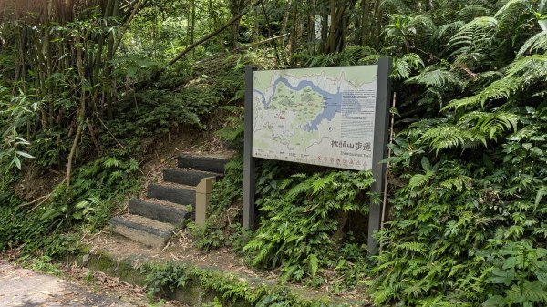 115.05.23枕頭山-枕頭山西峰-薑母島之旅3061270