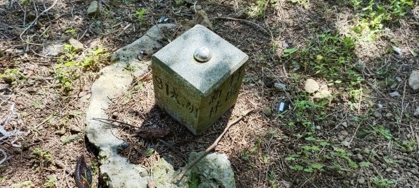 20220312_馬那邦山 細道邦山南峰 細道邦山1637073