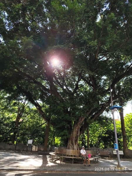 天母水管路步道→天母古道→磺溪→白雲瀑布【發現陽明山、臺北健走趣】2864643