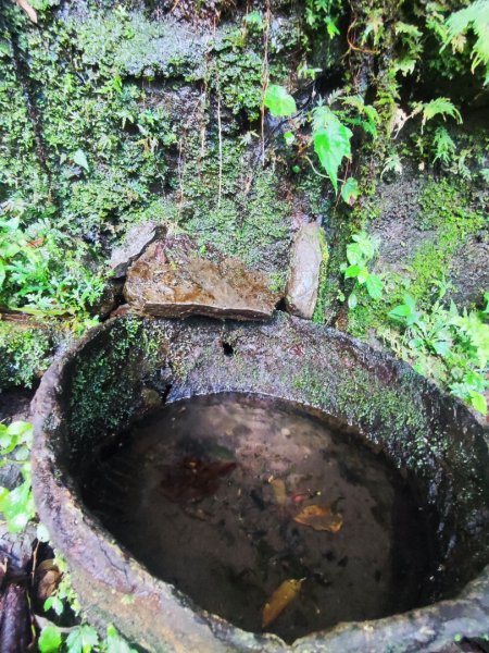 石碇鱷魚島-草湳二格山2786774