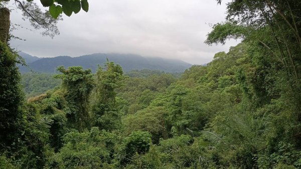 20250607 新竹竹東三山(樹杞林山 - 新具庄山 - 員崠子山)  O型2808898
