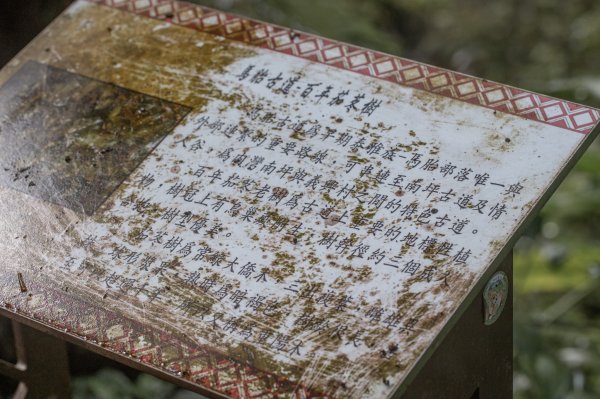 馬胎古道 （馬胎一期、南坪古道、內灣老街）3073780