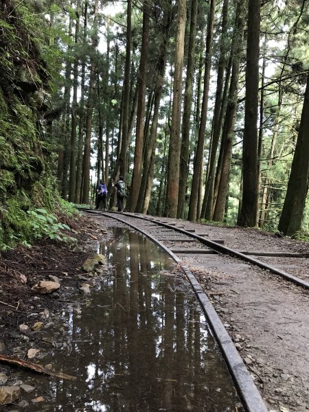 109年6月26日特富野古道1027069