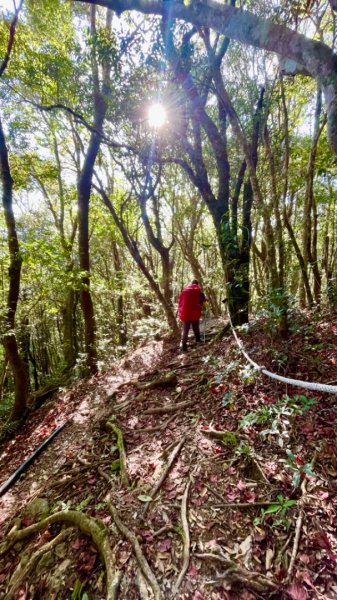 塔魔巴2天1夜來回/復興尖-四稜溫泉2357219