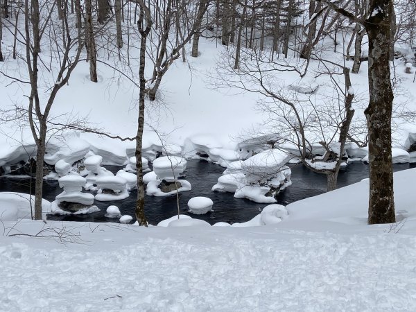 北海道-----雪之祭