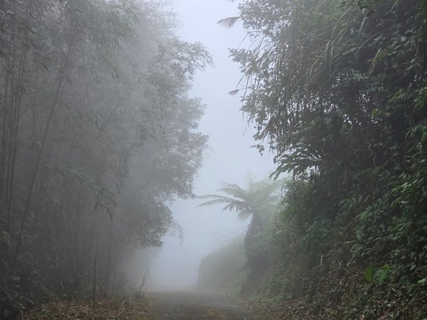 馬那邦山之雲海／雲瀑／楓紅／太陽琉璃光2668320