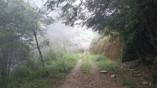 20251010 大雪山國家森林遊樂區 - 船型山林道 登 烏石坑山2911133