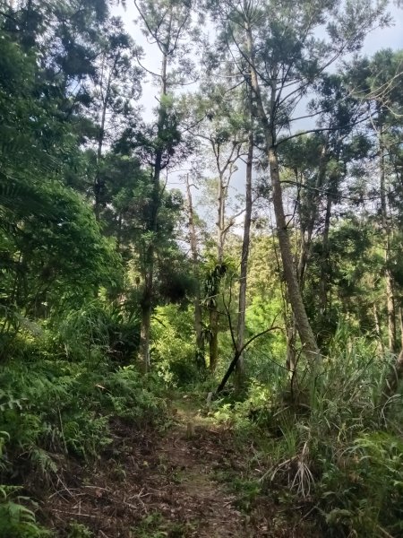 平溪區南山坪蝙蝠洞(濕洞)+平湖山+平湖尖+蝙蝠洞(乾洞)O型2833866