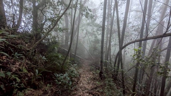 集集大山步道2886269