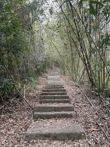 【忠の水社大山】~遠眺日月潭與群山-202302052063596