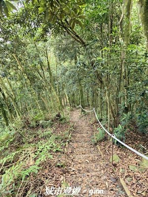 【台中和平】橫嶺山自然步道_木馬古道3095031