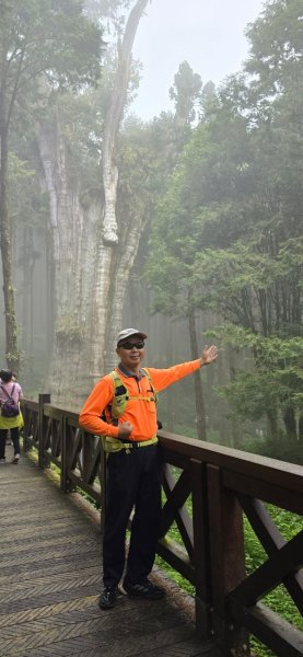 阿里山水山療癒步道_202407062569753