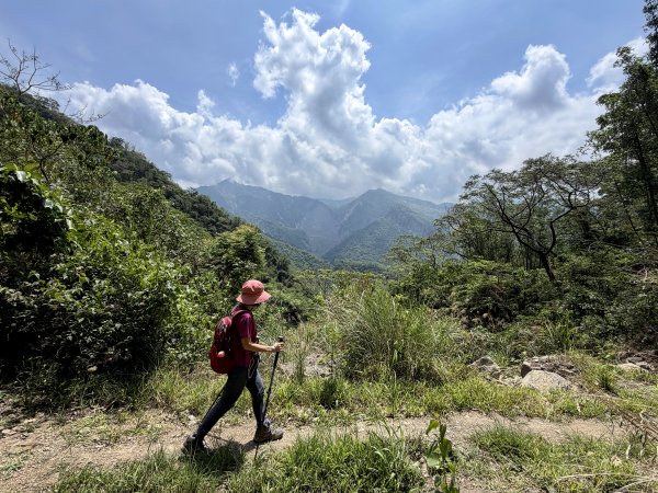 西阿里關山 202605033048193