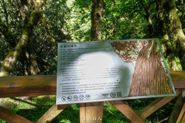 霞山鐵道野營2843065