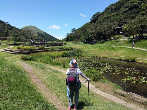 大屯山系｜漫步枕頭山。二子坪漫漫而行666214