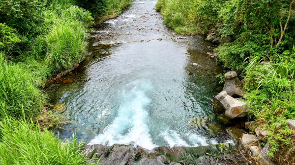 九寮溪自然步道2826868