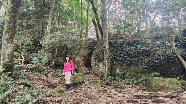 五指山走春3009596