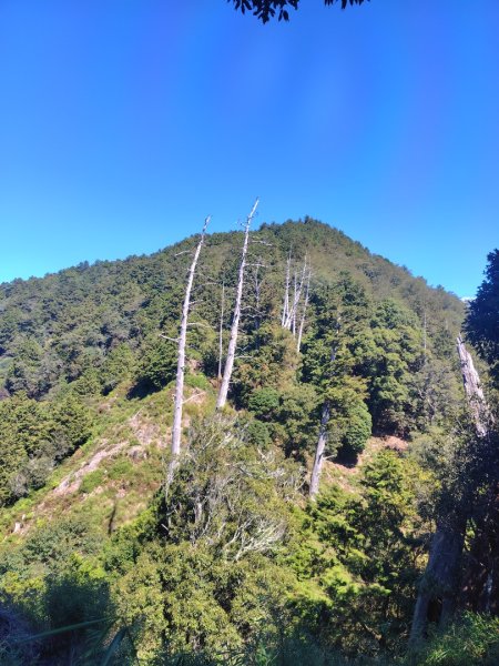 守關山南峰 守關山 守城大山2919157
