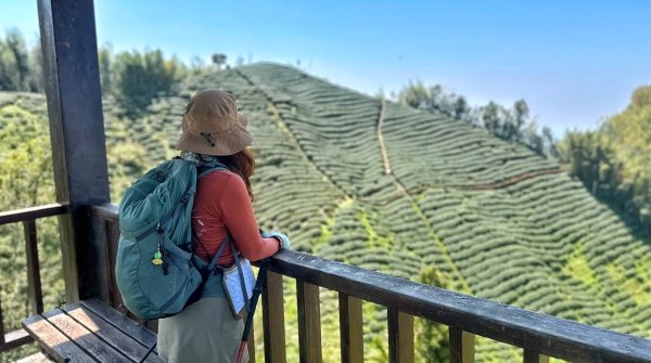 溪頭六連峰O繞2741799