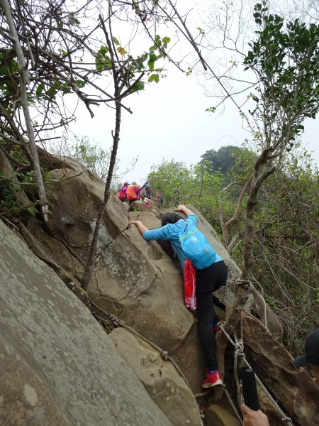 台灣小百岳第72座高雄旗山旗尾山之三角點551184