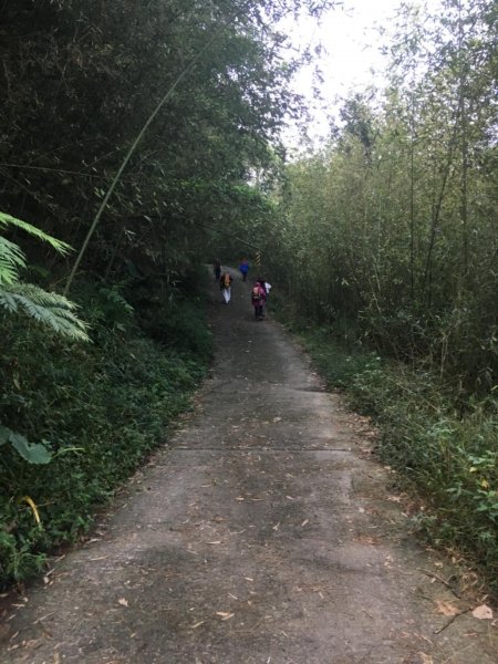 20181026-大凍山初登444937