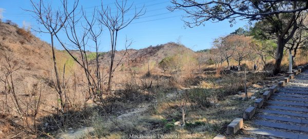 《台中》短暫暖陽｜龍井竹坑南寮步道O繞202601042976410