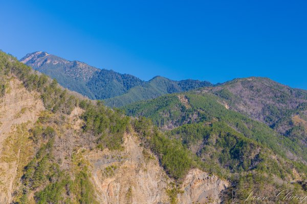 福壽山千櫻園櫻花盛開2724924