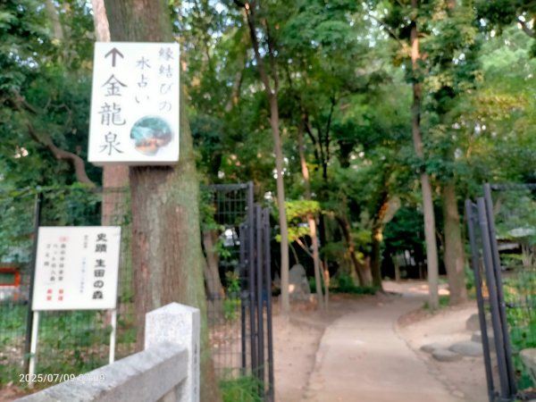 神戶生田神社2832605
