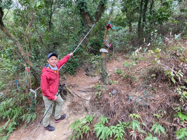 硫磺谷.龍鳳谷.大砲岩.石壇山【大巨蛋 跳起來 可以嗎?】2686320